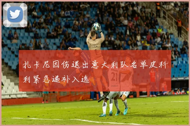 扎卡尼因伤退出意大利队名单皮科利紧急递补入选